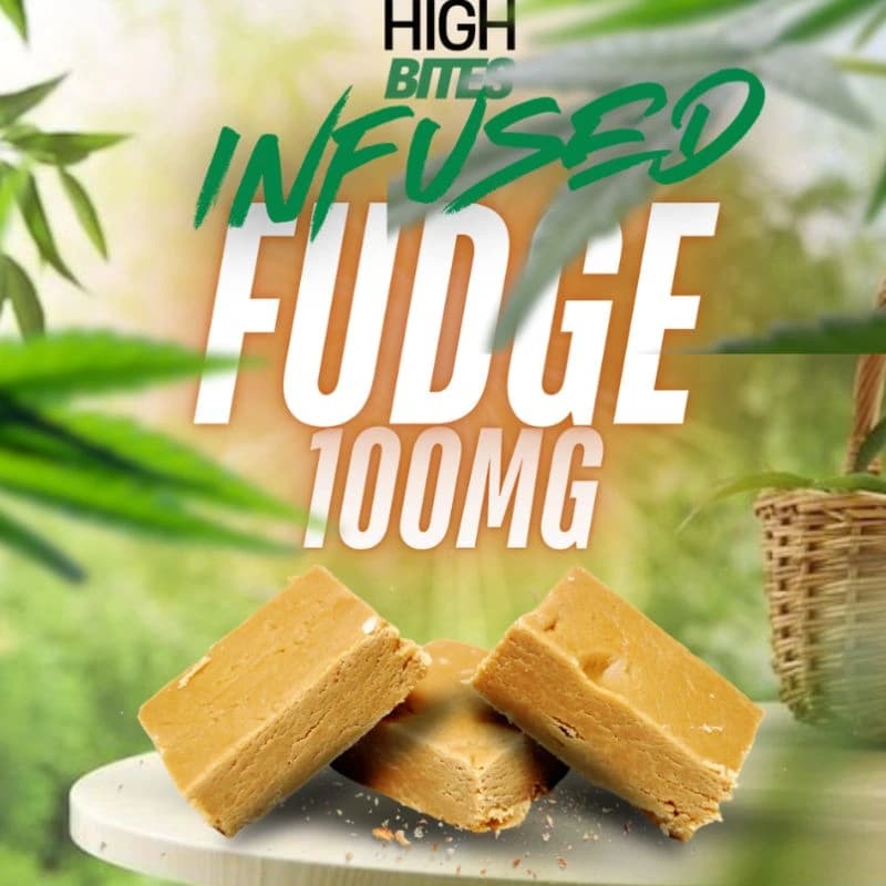 Infused Fudge 100mg High Bites